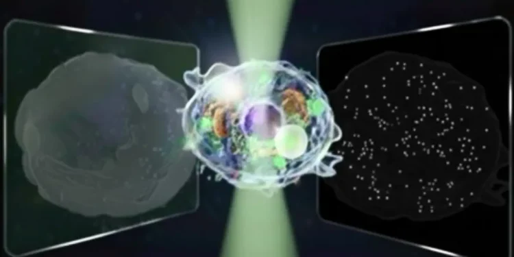 Le « Grand Microscope Unifié » peut voir à la fois les structures microscopiques et nanoscopiques