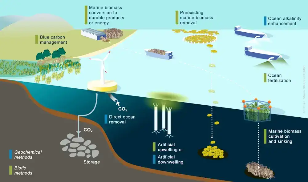 Aperçu schématique des méthodes d'élimination du dioxyde de carbone marin (mCDR) incluses dans cette note d'information scientifique prospective du Conseil européen de la mer. Voir l'encadré pour une description de chacune d'entre elles. Graphique : Rita Erven, GEOMAR (CC BY 4.0).