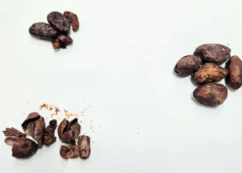 Un groupe crée du miel « aromatisé au chocolat » en utilisant des coques de fèves de cacao