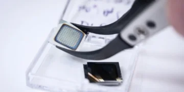 Une puce électronique capable d'imiter différentes régions du cerveau