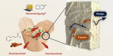 Quelle est la perméabilité des matériaux d'emballage alimentaire en papier ?