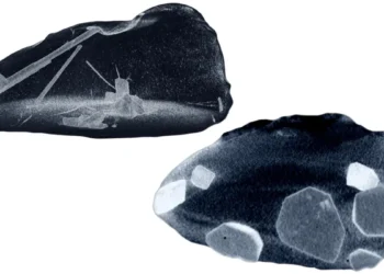 Des scientifiques capturent des images de cristaux se formant dans du métal liquide