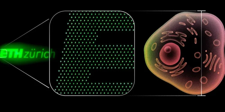 Des diodes OLED cent fois plus petites qu’une cellule humaine