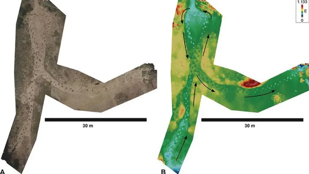 Vues aériennes des plus de 130 empreintes fossiles, représentées sous forme (A) d'un modèle photographique assemblé et (B) d'une carte d'altitude en fausses couleurs, où les changements d'élévation mettent en évidence les empreintes en fonction de leur profondeur. Les flèches indiquent le chemin emprunté par le dinosaure lorsqu'il a traversé le site.