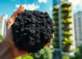 Le biochar, un potentiel pour construire des villes plus propres et plus durables
