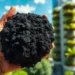 Le biochar, un potentiel pour construire des villes plus propres et plus durables