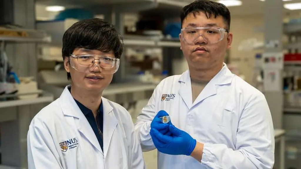 Le professeur adjoint Wu Changsheng (à gauche) et le coauteur principal de l'article, le doctorant Xiao Xiao, avec un échantillon de leur robot souple.