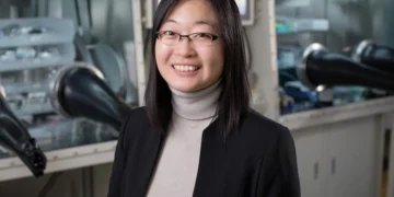 Le professeur Ying Diao, de l'Illinois, a dirigé une étude multi-institutionnelle qui positionne les polymères synthétiques comme une alternative potentielle.