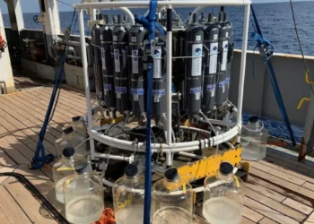 Où vont les microplastiques une fois qu'ils coulent dans l'océan ?