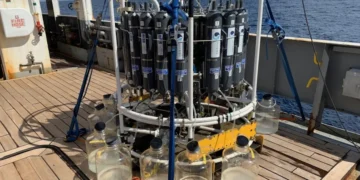 Où vont les microplastiques une fois qu'ils coulent dans l'océan ?