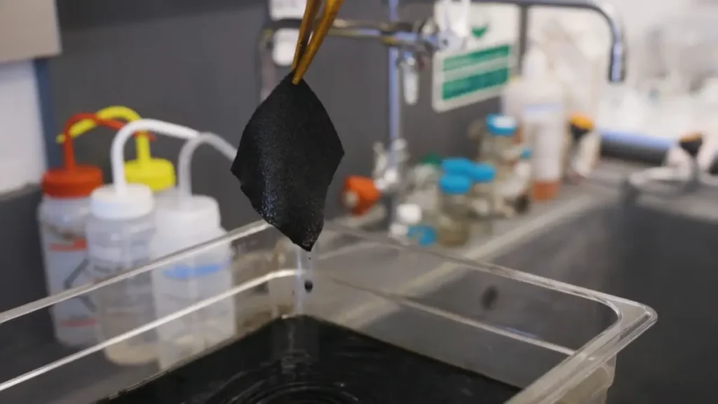 Un oiseau de paradise inspire le tissu le plus noir jamais créé