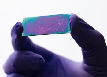 Des ingénieurs rendent l'IA plus rapide et réduisent sa consommation d'énergie