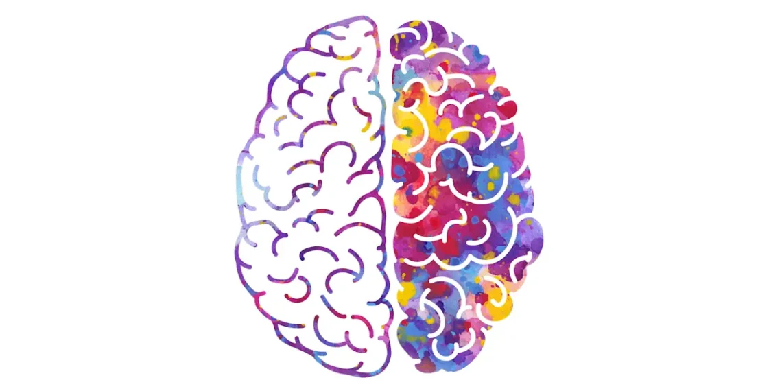 Les rayons X rendent la cartographie cérébrale haute résolution accessible