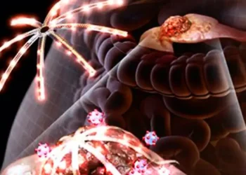 Des micro-LED 3D inspirées de la pieuvre ouvrent la voie à une thérapie sélective du cancer du pancréas