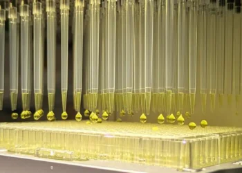 Les appareils à haut débit peuvent considérablement accélérer la recherche. Ici, 96 échantillons sont testés simultanément pour la conversion enzymatique du formiate en formaldéhyde, reconnaissable au changement de couleur jaune.