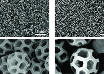 Natural brochosomes from a leafhopper, specifically Graphocephala sp., are shown in the left panels and s