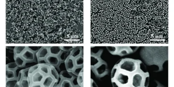 Natural brochosomes from a leafhopper, specifically Graphocephala sp., are shown in the left panels and s