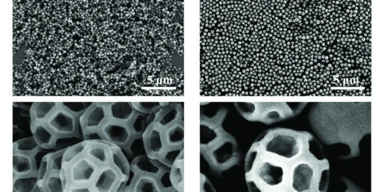 Natural brochosomes from a leafhopper, specifically Graphocephala sp., are shown in the left panels and s