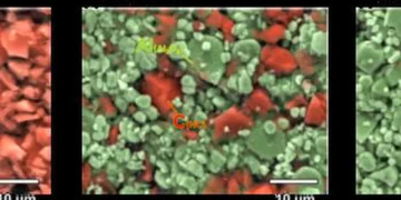 Ces images représentent des électrodes présentant différents rapports entre le carbone dur (rouge) et l'Al 2 O 3 (vert)