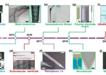 Cette illustration composite présente des exemples typiques d'électrodes intracorticales mini-invasives qui réduisent les dimensions et la rigidité des dispositifs pour les rapprocher de celles du tissu cérébral.
