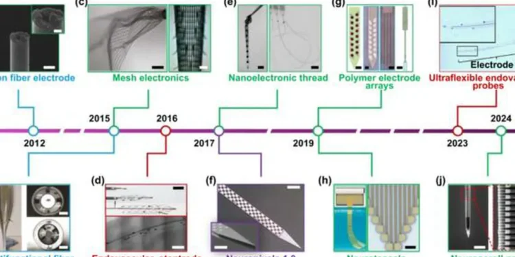 Cette illustration composite présente des exemples typiques d'électrodes intracorticales mini-invasives qui réduisent les dimensions et la rigidité des dispositifs pour les rapprocher de celles du tissu cérébral.