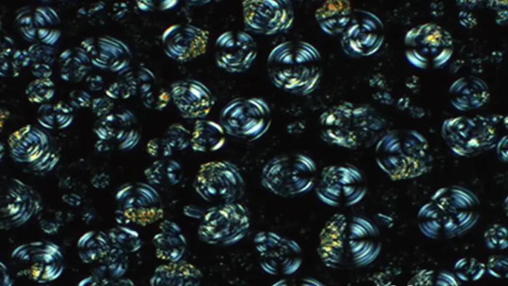 Image au microscope polarisant du matériau à l'état solide. Crédit : Dr Stephen Cowling, Université de York.
