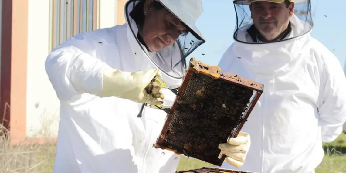 Des chercheurs travaillant sur l'étude de cas