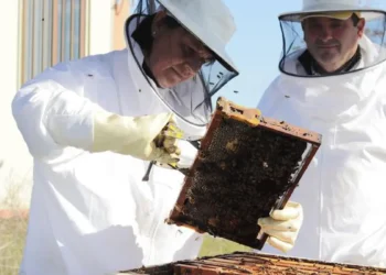 Des chercheurs travaillant sur l'étude de cas