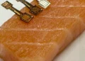 This new sensor determined exactly how fresh a piece of fish was within two minutes.