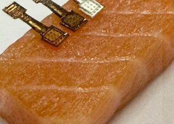 This new sensor determined exactly how fresh a piece of fish was within two minutes.