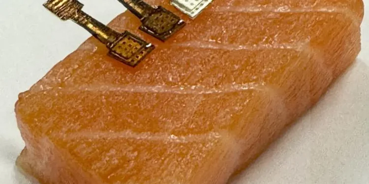 This new sensor determined exactly how fresh a piece of fish was within two minutes.