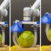 Les chercheurs ont démontré que le robot vigne peut soulever de manière sûre et stable divers objets lourds et fragiles, comme une pastèque.