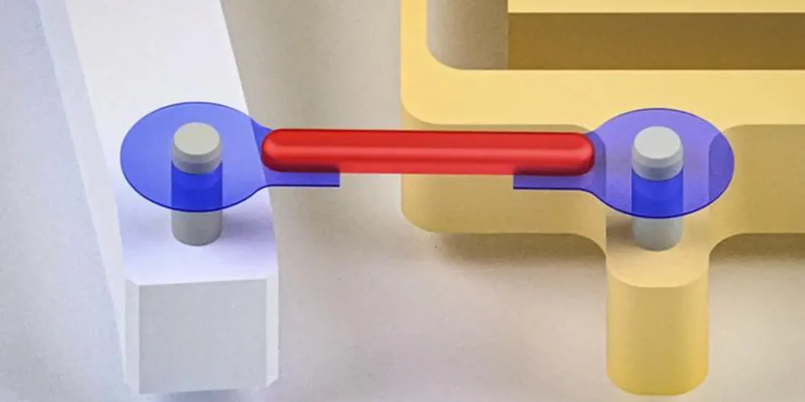 Researchers have developed artificial tendons for muscle-powered robots. They attached the rubber band-like tendons (blu