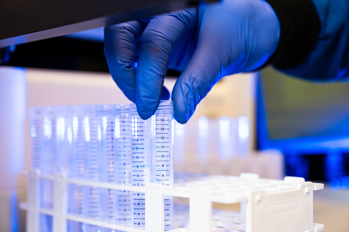 Une main portant un gant en latex pince le haut d'un tube à essai étroit dans une rangée avec d'autres tubes à essai.