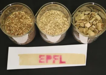 Le logo de l'EPFL imprimé sur du papier thermique à base de lignine.