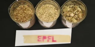 Le logo de l'EPFL imprimé sur du papier thermique à base de lignine.