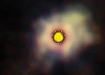 Des nuages de poussière reflètent la lumière stellaire autour de l'étoile R Doradus. Alors qu'elle approche de la fin de sa vie, l'étoile perd ses couches externes, formant autour d'elle des nuages de gaz et de poussière (représentés ici en rose et en jaune).