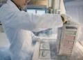 Induced pluripotent stem cells (iPS cells) can be created from any tissue in the human body