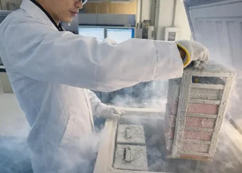 Induced pluripotent stem cells (iPS cells) can be created from any tissue in the human body