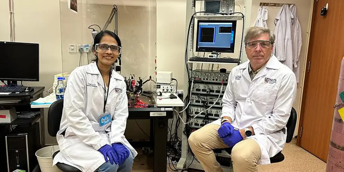 Dr Sheeja Navakkode and Prof Brian Kennedy, in the Healthy Longevity Translational Research Programme’s laboratory.