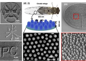 The fabricated Turing-line wrinkles and ordered Turing-column structures demonstrate the programmable nanoscale patterni