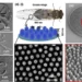The fabricated Turing-line wrinkles and ordered Turing-column structures demonstrate the programmable nanoscale patterni
