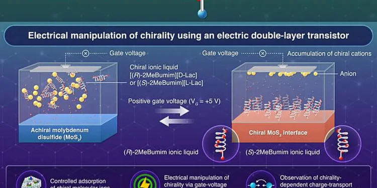 The study demonstrates that applying a gate voltage drives chiral cations from an ionic liquid to the surface of achiral