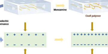A polymer modification method utilizing monoamine grafting, which markedly enhances the piezoelectric properties of the