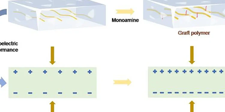 A polymer modification method utilizing monoamine grafting, which markedly enhances the piezoelectric properties of the