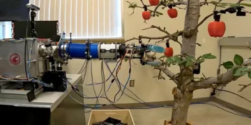 Low-cost, simple robotic apple picker arms like this one, developed by WSU&nbsp;researchers, may someday help with f