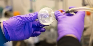 Le manganèse a son moment comme catalyseur potentiel pour les piles à combustible