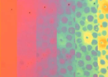 Time-lapse of the evolution of color patterns in a soft photonic skin sample. | Siddharth Doshi