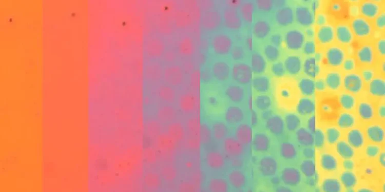 Time-lapse of the evolution of color patterns in a soft photonic skin sample. | Siddharth Doshi