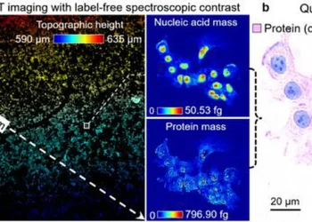 Figure | DART enables label-free molecular imaging with quantitative virtual staining.  (a) Mesoscale molecular ima